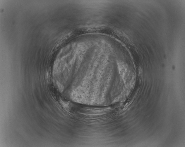 X0000077321300200611101448