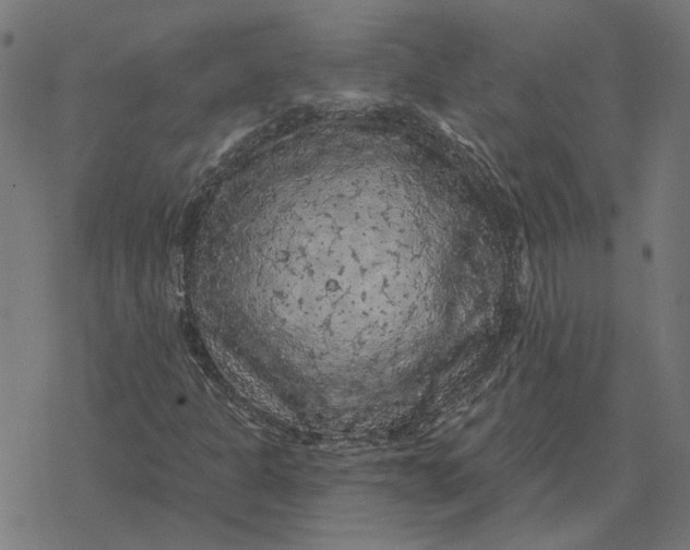 X0000077321301200611101448