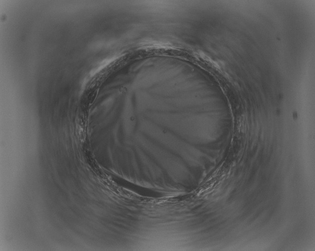 X0000077321303200611101448