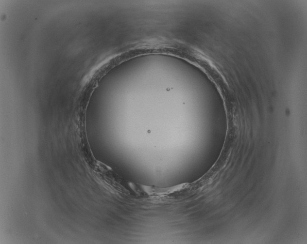 X0000077321304200611101448