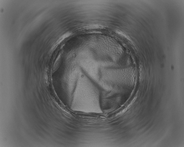 X0000077321305200611101448