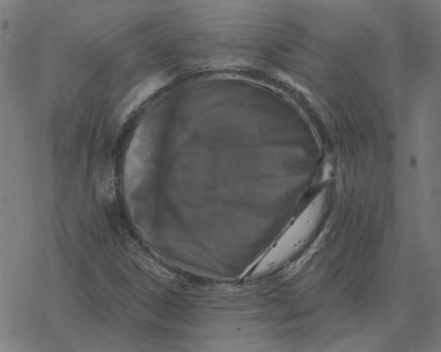 X0000077321306200611101448