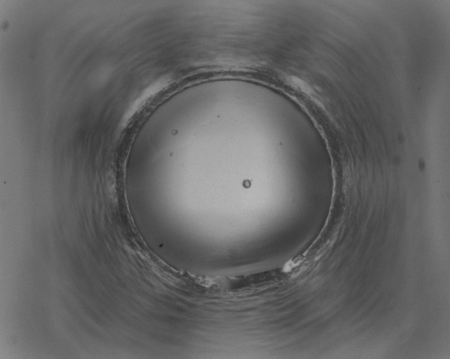 X0000077321307200611101448