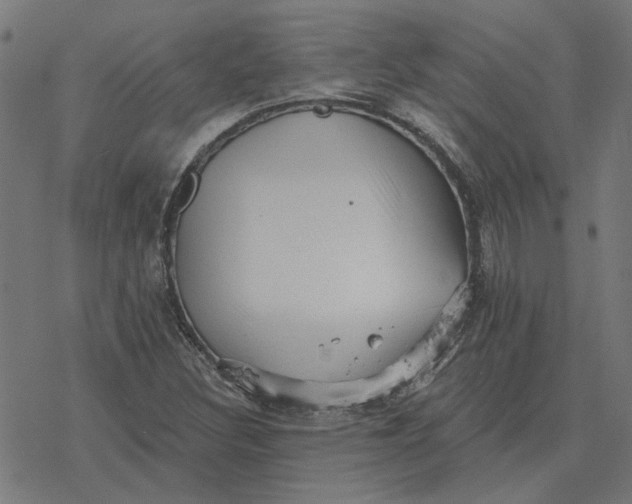 X0000077321308200611101448