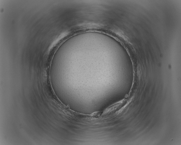 X0000077321309200611101448