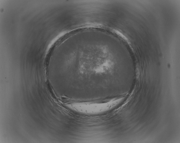 X0000077321310200611101448