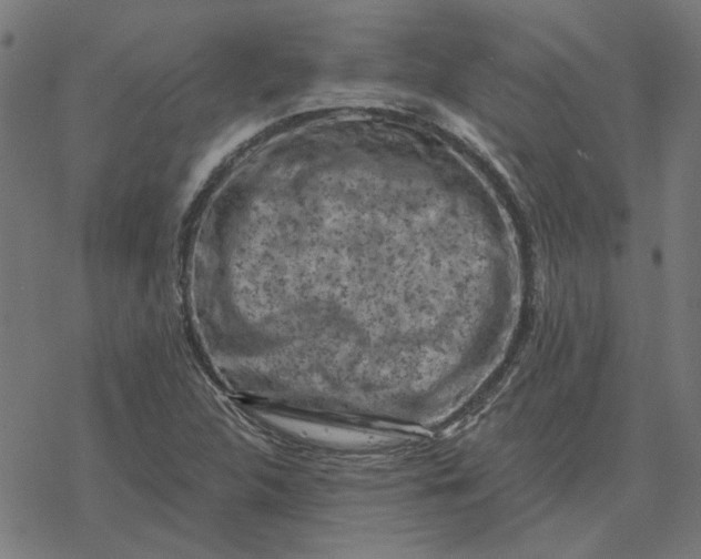 X0000077321312200611101448