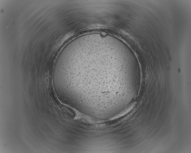 X0000077321313200611101448