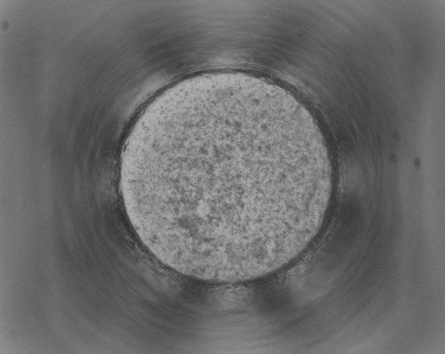 X0000077321314200611101448