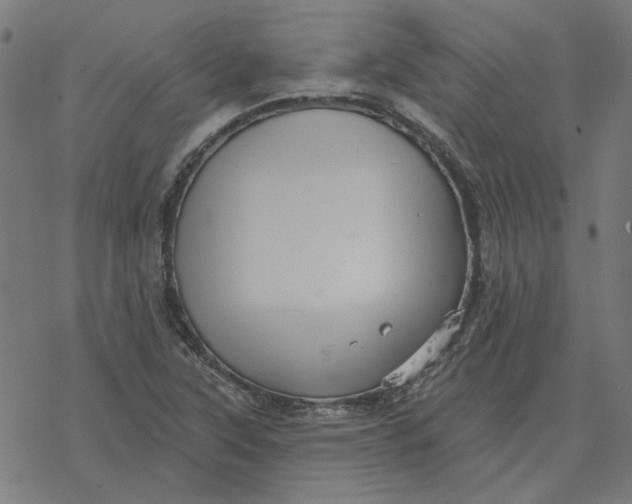 X0000077321315200611101448