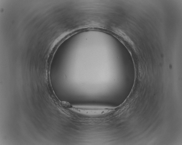 X0000077321316200611101448