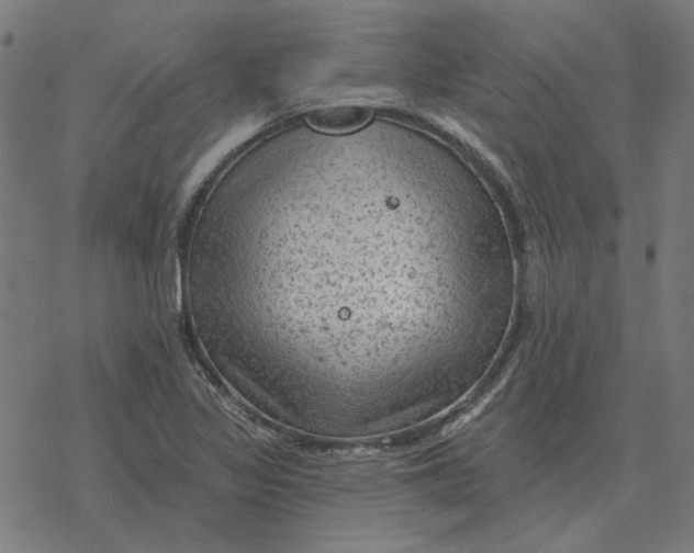 X0000077321317200611101448