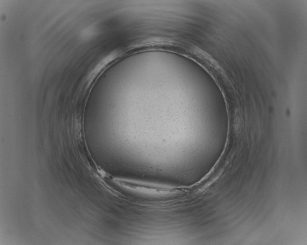 X0000077321321200611101448