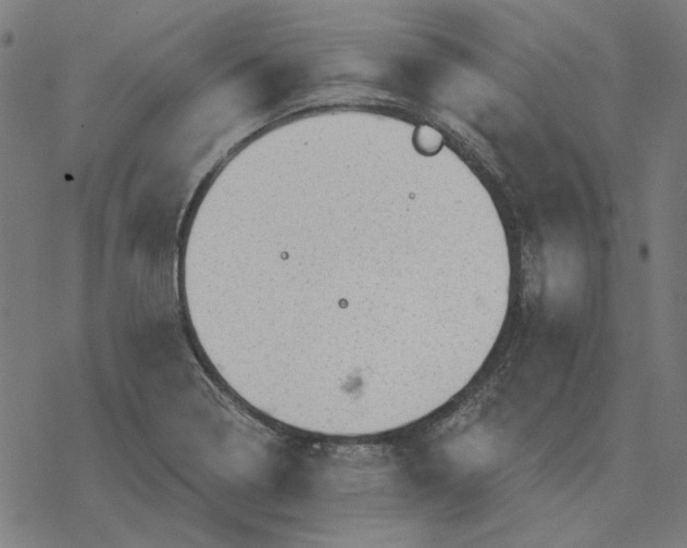 X0000077321322200611101448