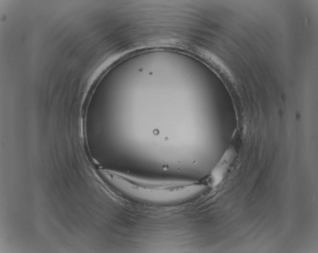 X0000077321324200611101448