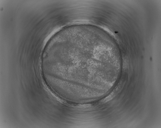 X0000077321325200611101448