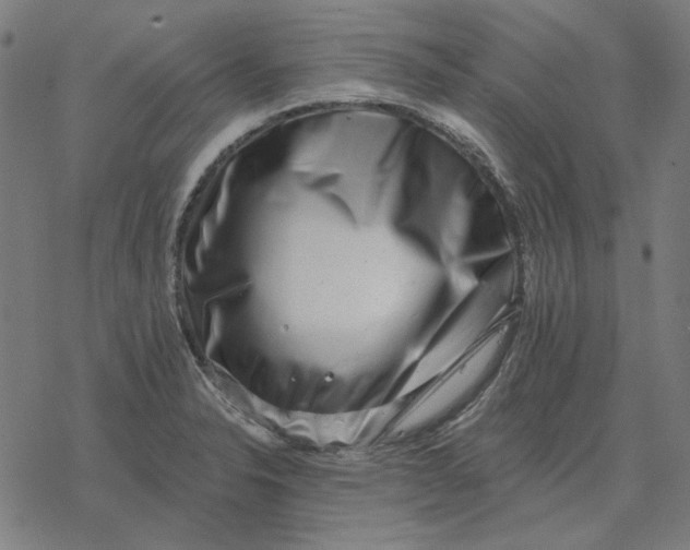 X0000077321326200611101448