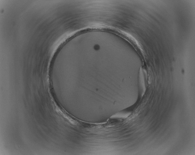 X0000077321327200611101448