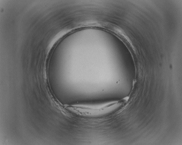 X0000077321328200611101448