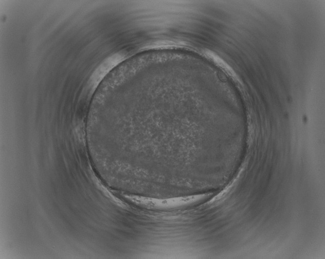 X0000077321329200611101448