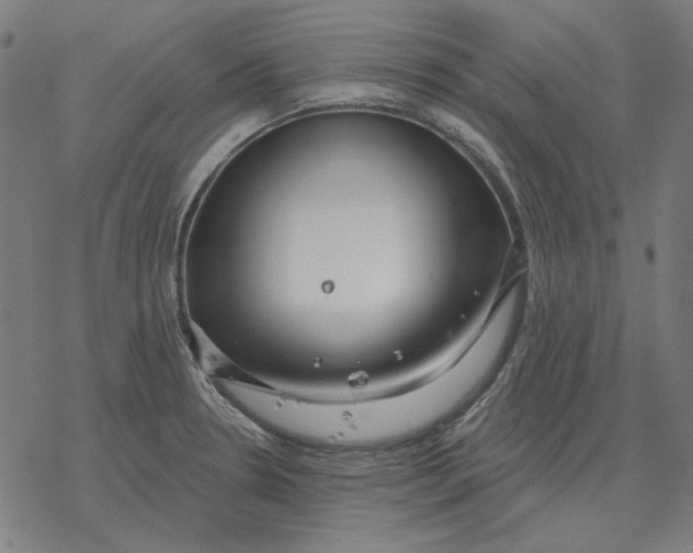 X0000077321330200611101448