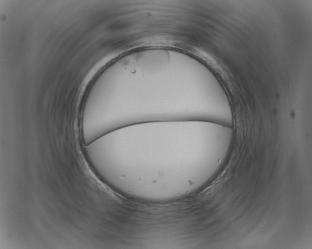 X0000077321331200611101448