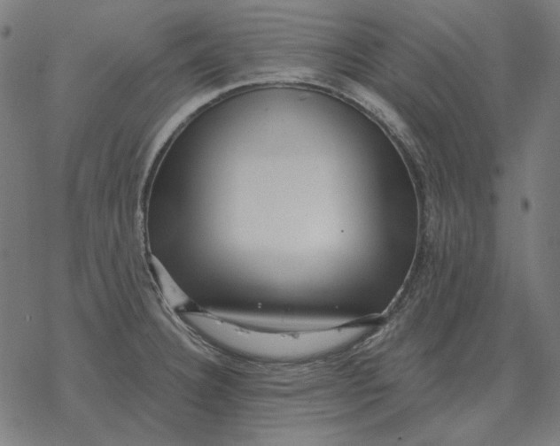 X0000077321332200611101448