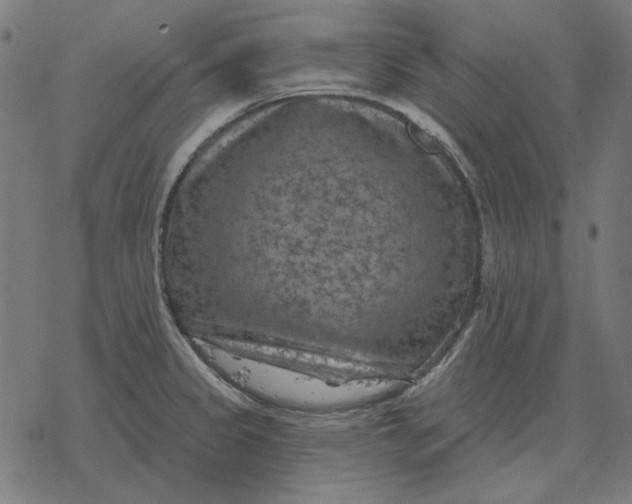 X0000077321333200611101448