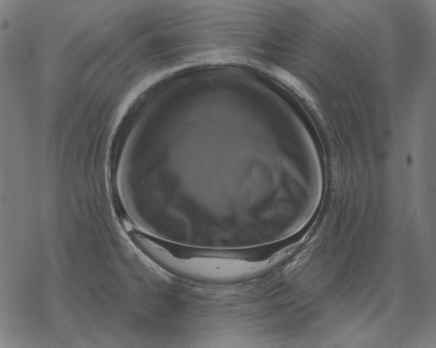 X0000077321334200611101448