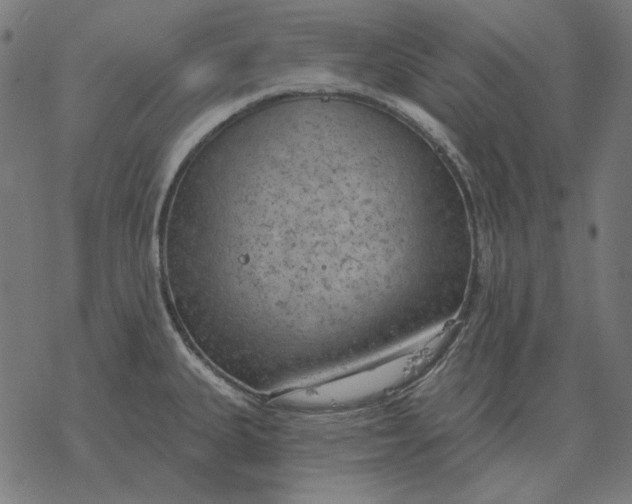 X0000077321335200611101448