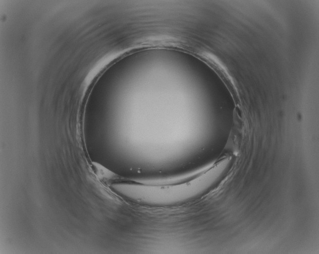 X0000077321336200611101448