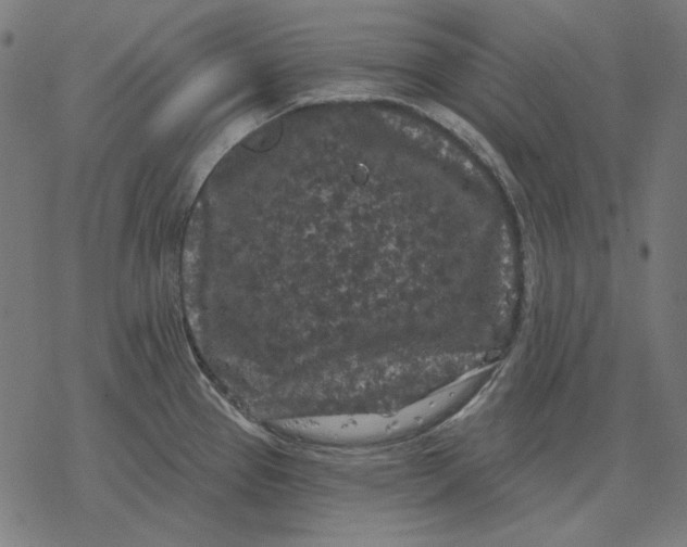 X0000077321337200611101448