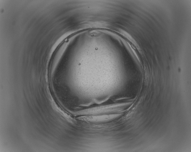 X0000077321339200611101448