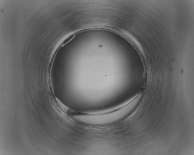 X0000077321340200611101448