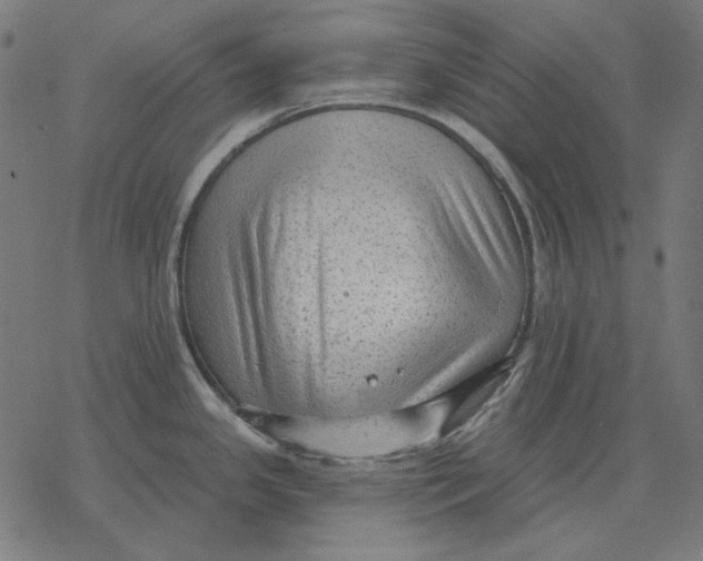 X0000077321341200611101448