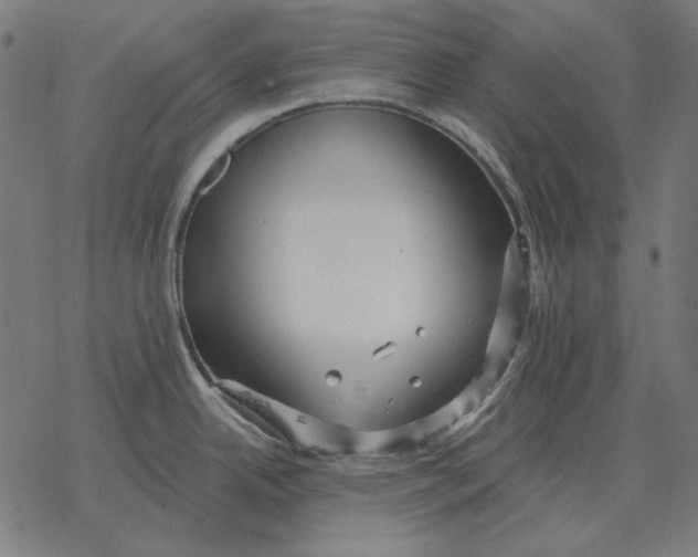 X0000077321342200611101448