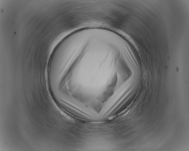 X0000077321343200611101448