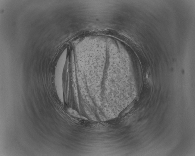 X0000077321348200611101448