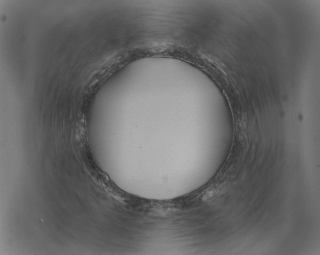 X0000077321349200611101448