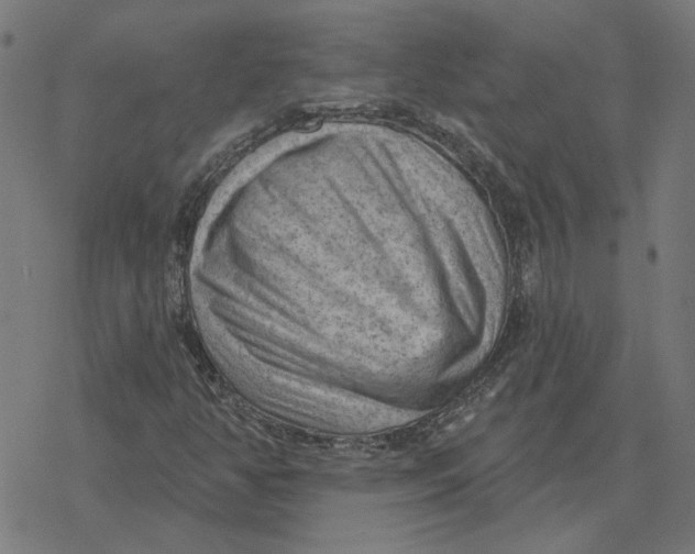 X0000077321350200611101448