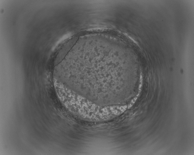 X0000077321351200611101448