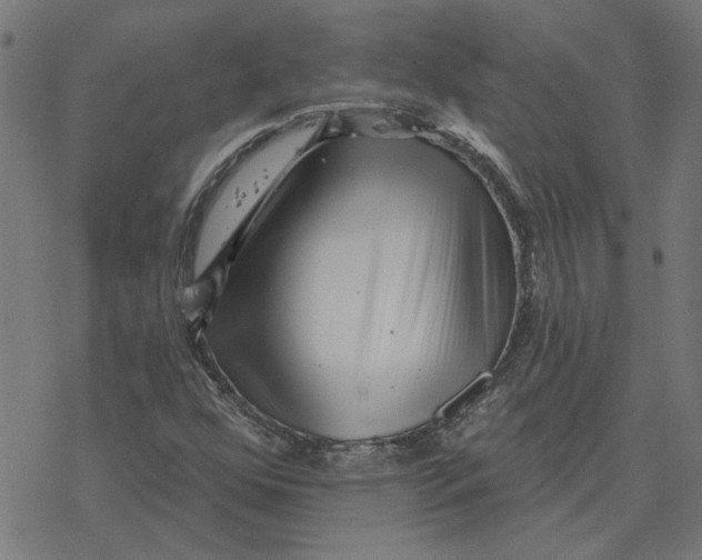 X0000077321352200611101448