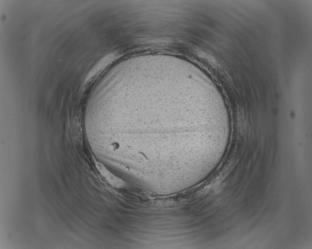 X0000077321354200611101448