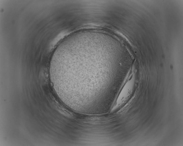 X0000077321355200611101448