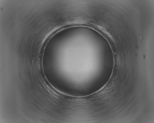 X0000077321356200611101448