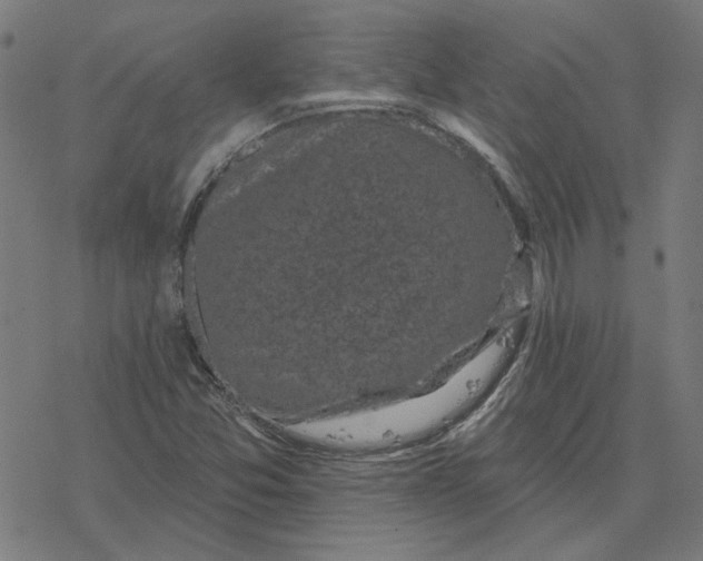 X0000077321357200611101448