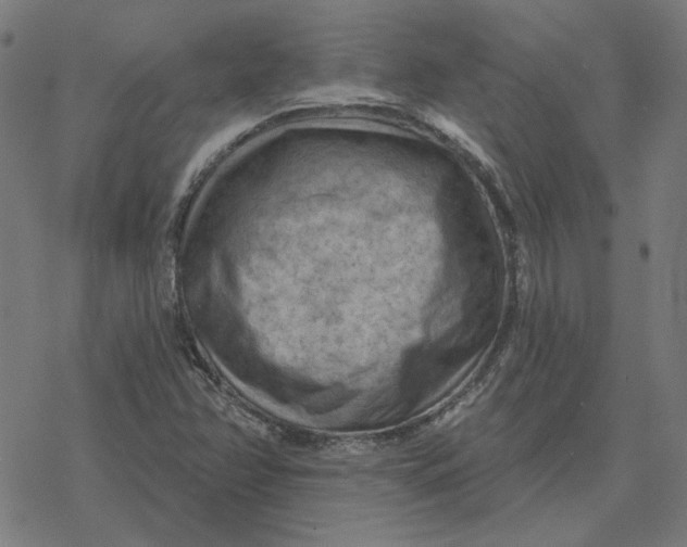 X0000077321358200611101448