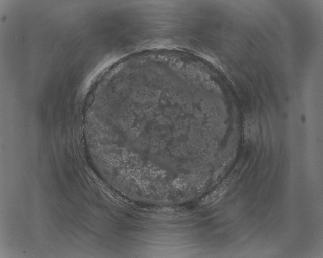 X0000077321359200611101447