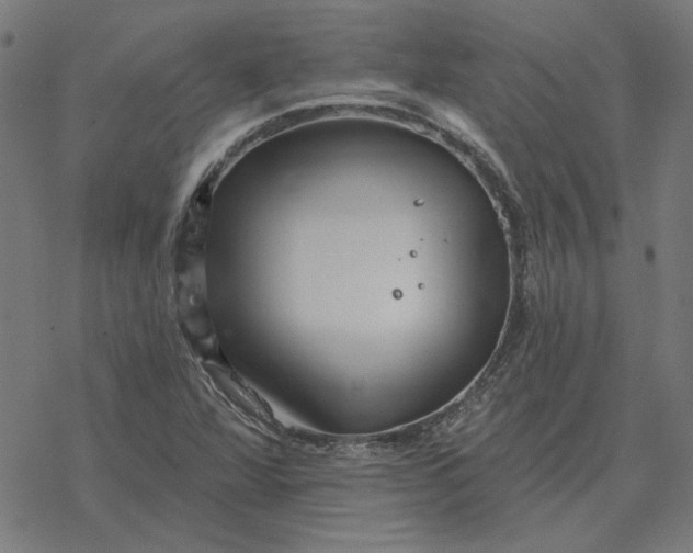 X0000077321360200611101447