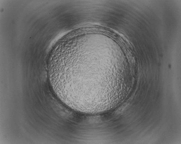 X0000077321363200611101447